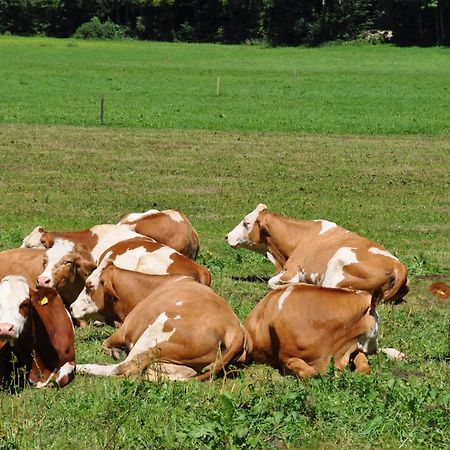Ferienwohnung Dichtlbauer Sankt Gilgen Exteriör bild