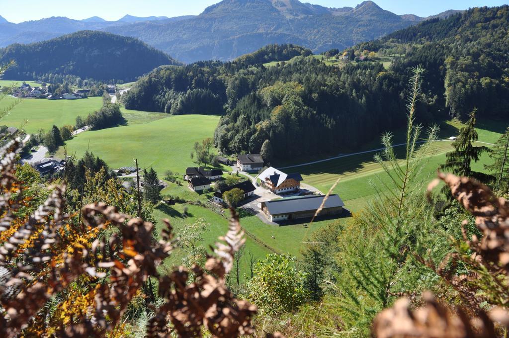Ferienwohnung Dichtlbauer Sankt Gilgen Exteriör bild